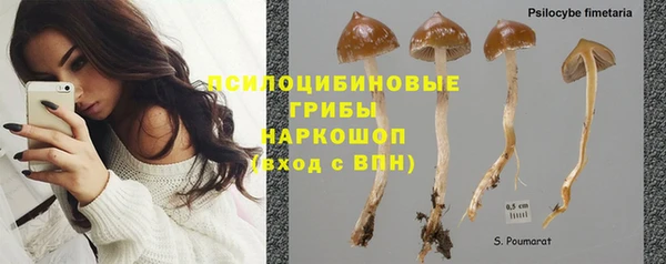 mix Бородино