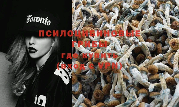 mix Бородино
