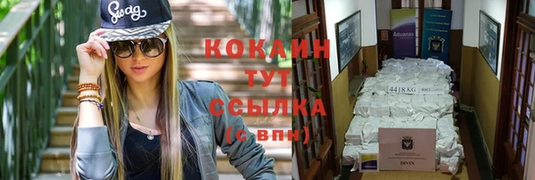 mix Бородино